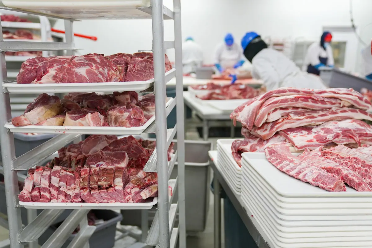 Cortes de carne porcionados em tabuleiros numa sala de desmancha