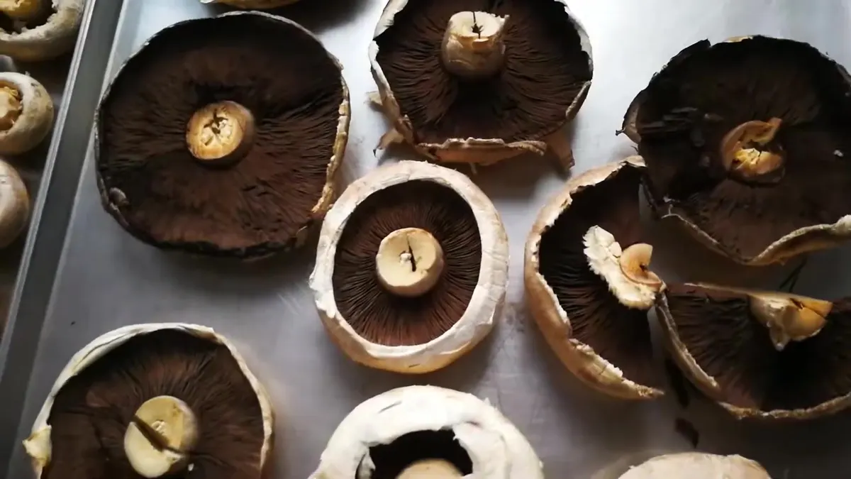 Portobello inteiro liofilizado num tabuleiro, com as lâminas totalmente intactas e os bordos do chapéu abertos
