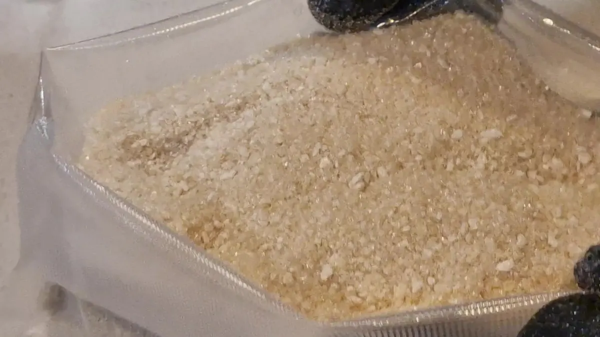 Caldo de vaca liofilizado assente num saco barreira transparente, com as partículas grosseiras visíveis junto ao selo