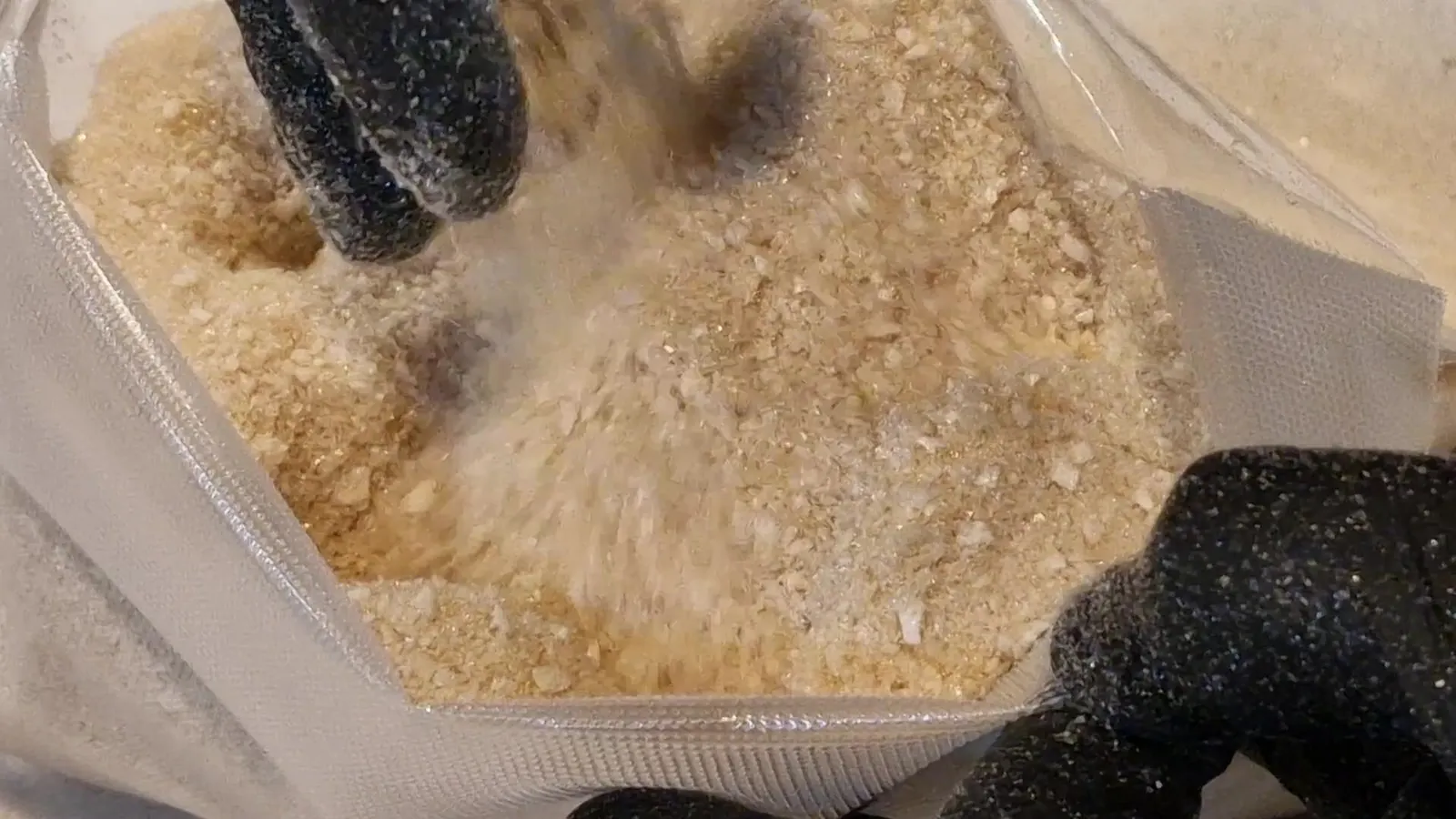 Mãos com luvas a verter caldo de vaca liofilizado, grosseiro e dourado-claro, para um saco barreira transparente